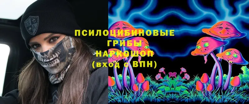 Псилоцибиновые грибы Psilocybe Арзамас